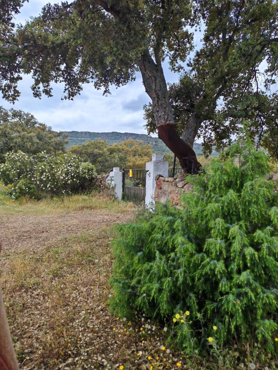 3 bedroom Finca/Country House for sale in Hornachos with garage - € 100,000 (Ref: 9808165)