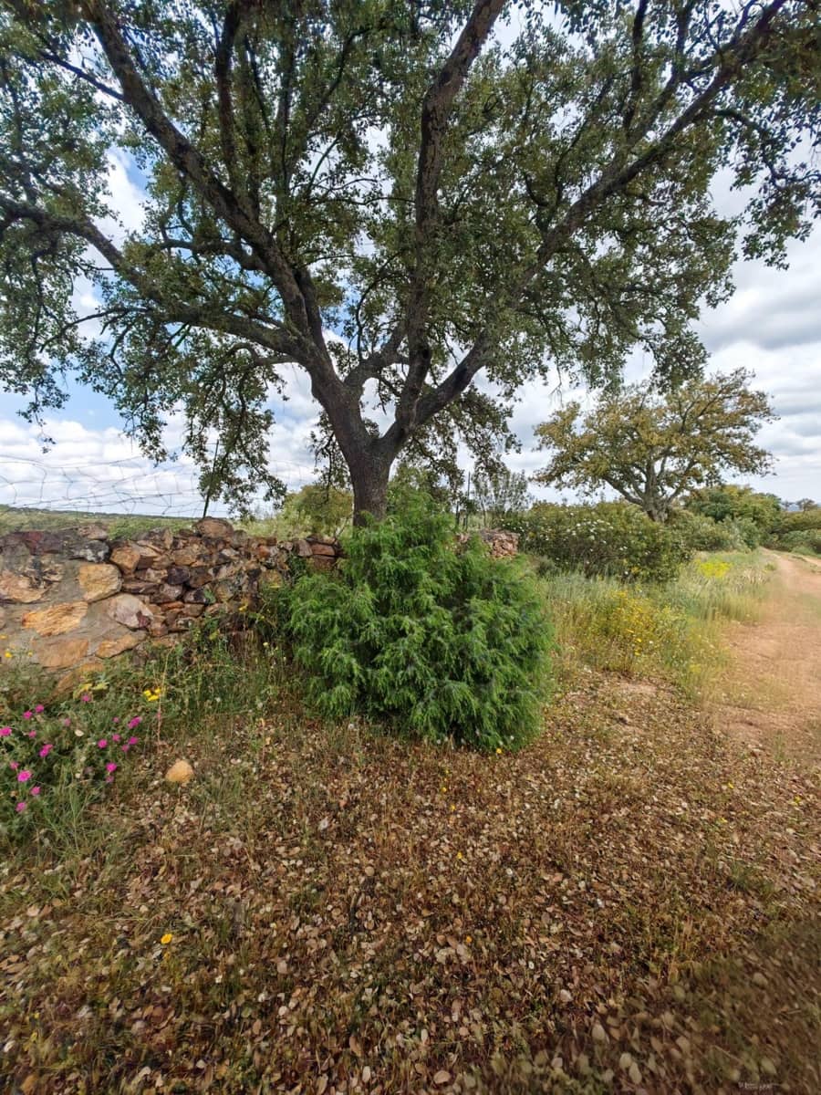 3 bedroom Finca/Country House for sale in Hornachos with garage - € 100,000 (Ref: 9808165)