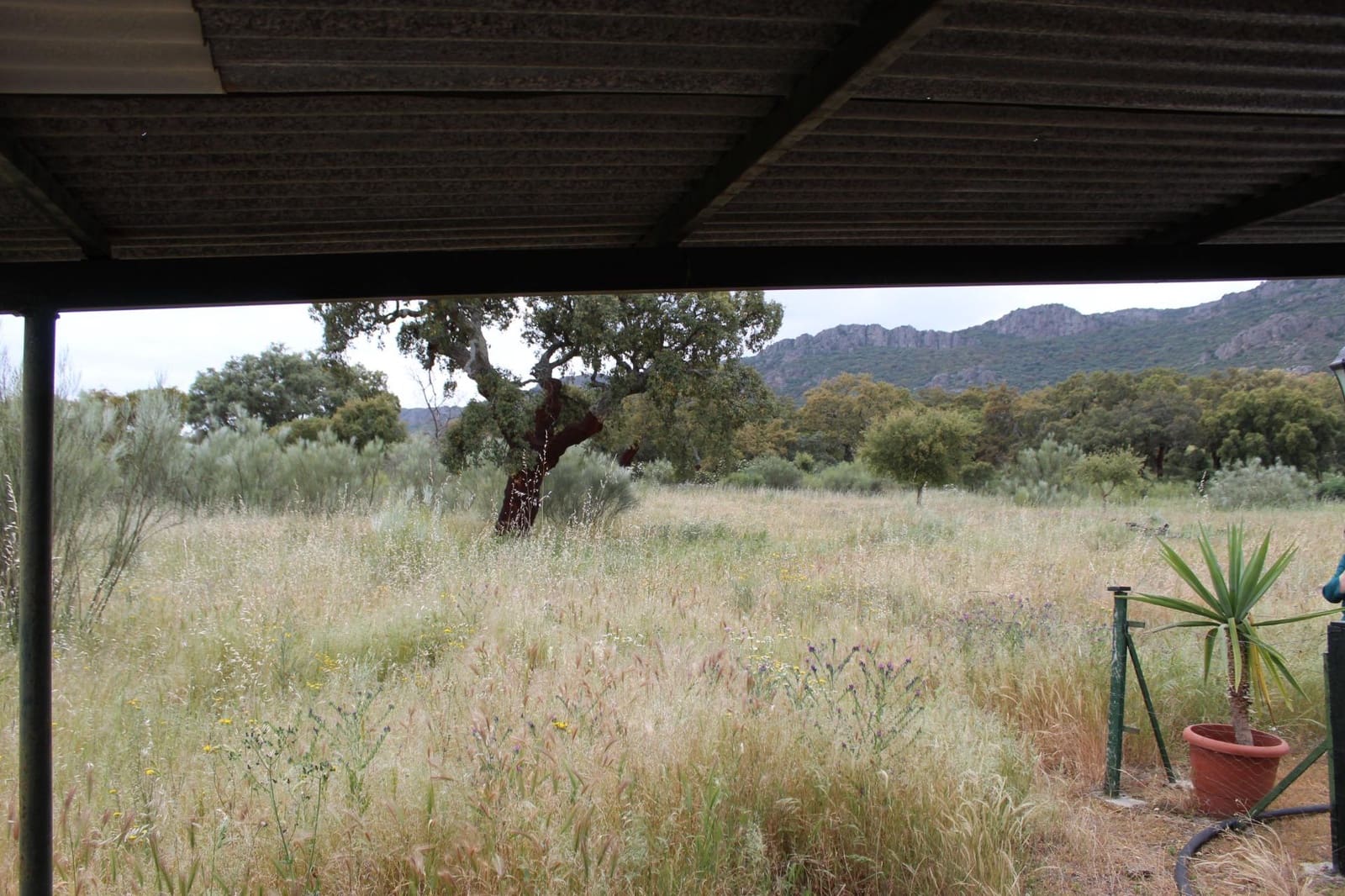 3 bedroom Finca/Country House for sale in Hornachos with garage - € 100,000 (Ref: 9808165)