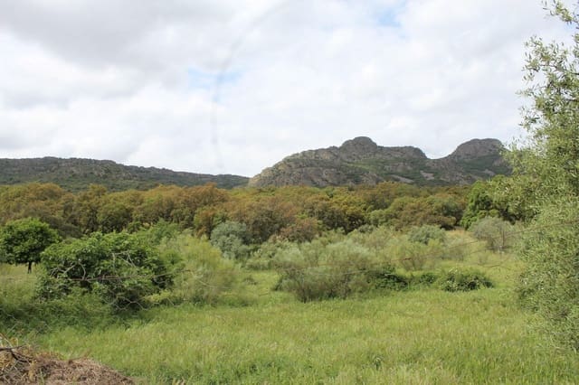 3 bedroom Finca/Country House for sale in Hornachos with garage - € 100,000 (Ref: 9808165)