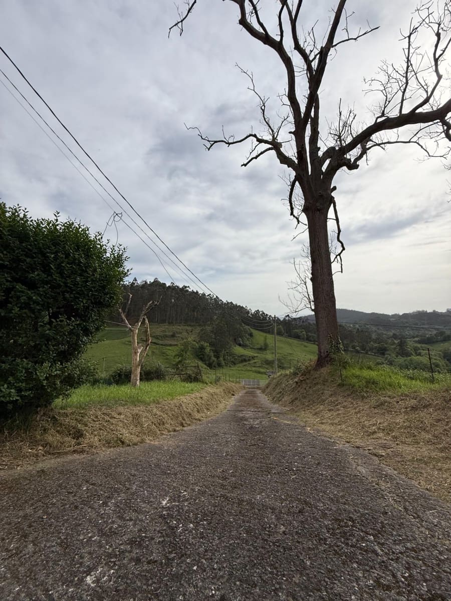 2 bedroom Finca/Country House for sale in Llanera with garage - € 160,000 (Ref: 9818046)