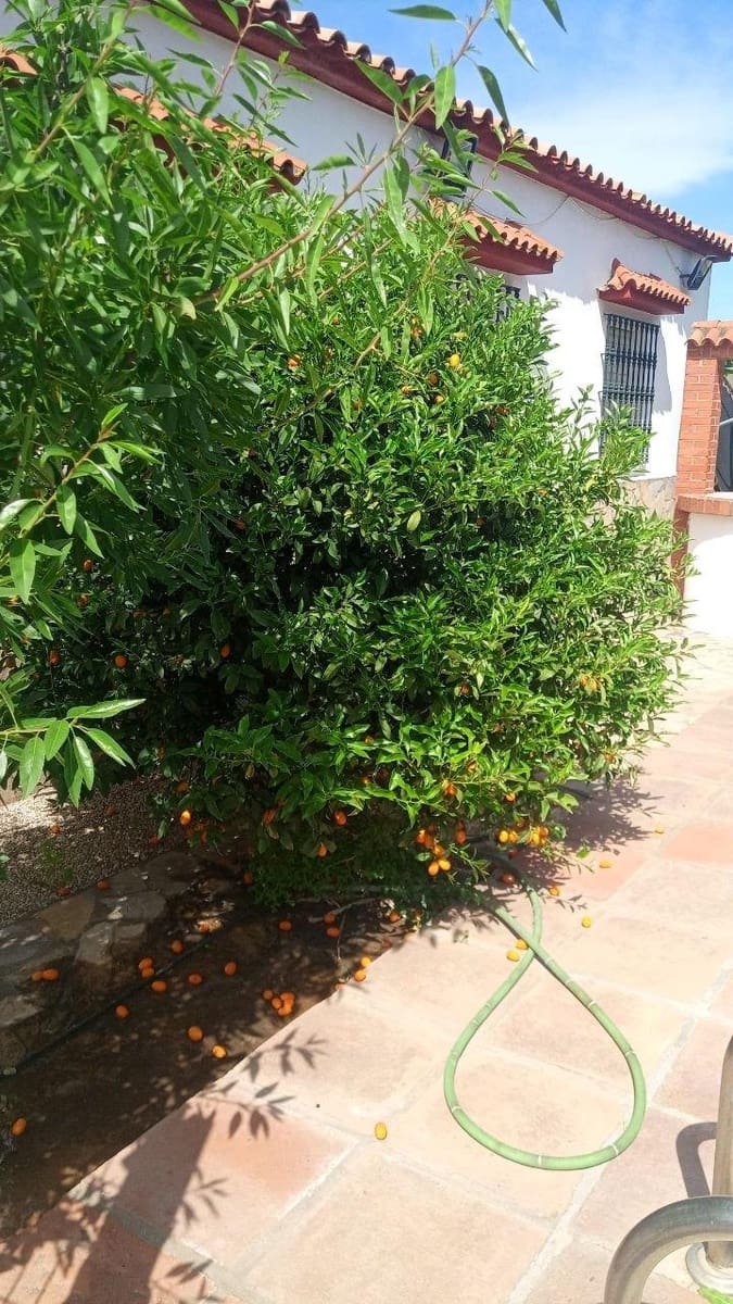 3 bedroom Villa for sale in La Linea de la Concepcion with pool garage - € 410,000 (Ref: 9829357)