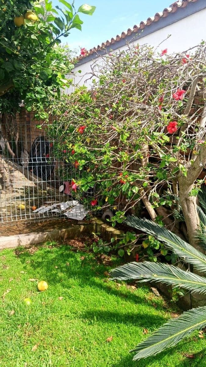 3 bedroom Villa for sale in La Linea de la Concepcion with pool garage - € 410,000 (Ref: 9829357)