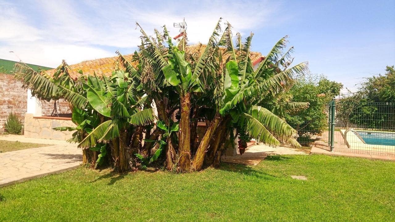 3 bedroom Villa for sale in La Linea de la Concepcion with pool garage - € 410,000 (Ref: 9829357)