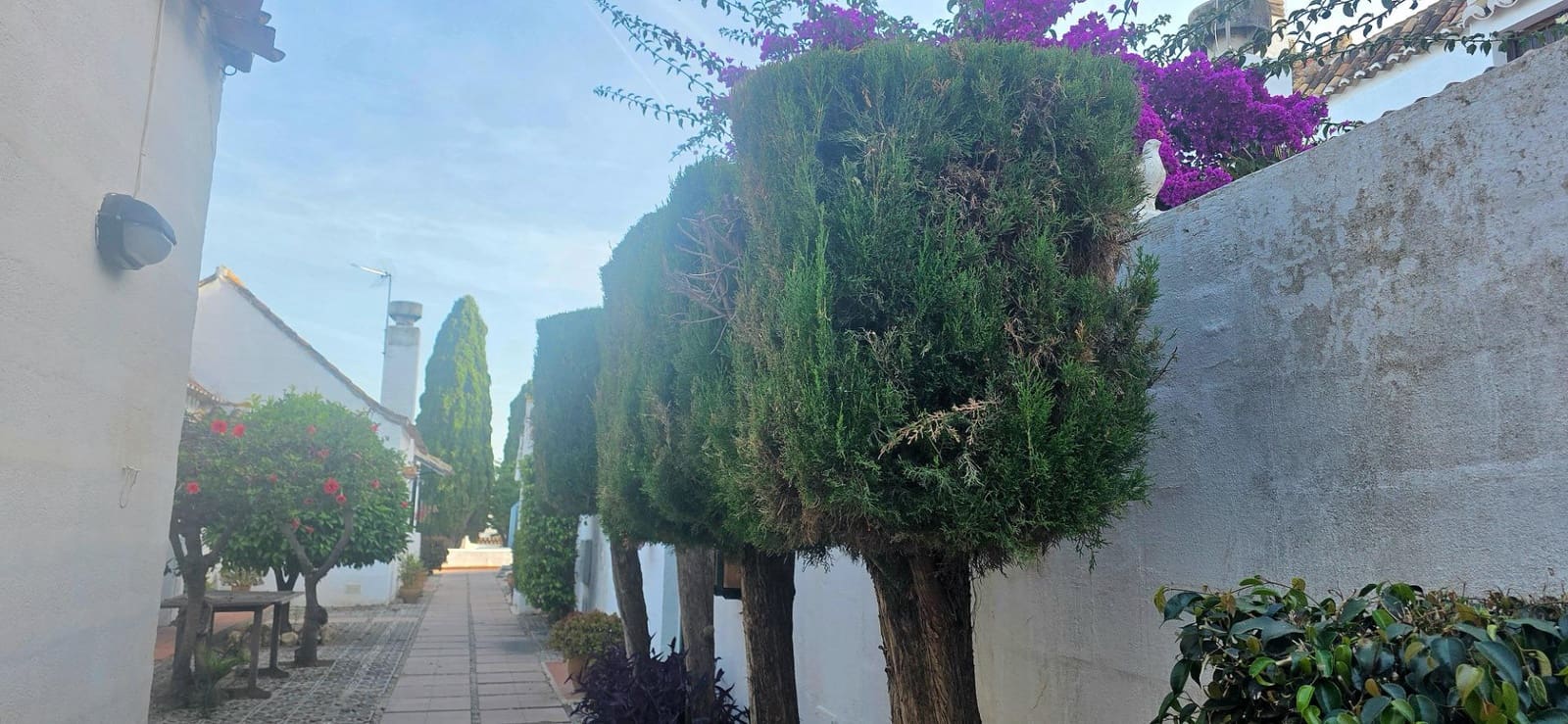 2 bedroom Townhouse for sale in Mijas Golf - € 345,950 (Ref: 9862030)
