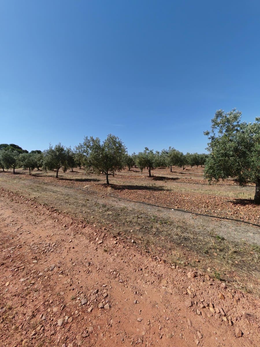 4 bedroom Villa for sale in Guarena with pool - € 210,000 (Ref: 9876607)