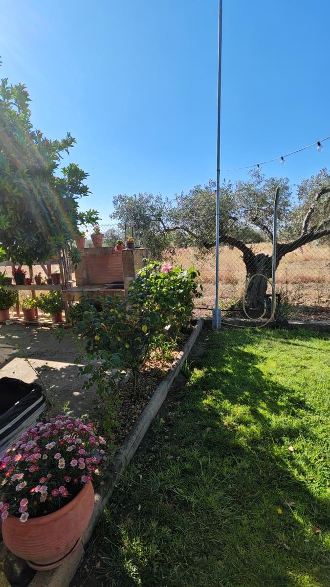 2 bedroom Finca/Country House for sale in Don Benito - € 160,000 (Ref: 9876612)