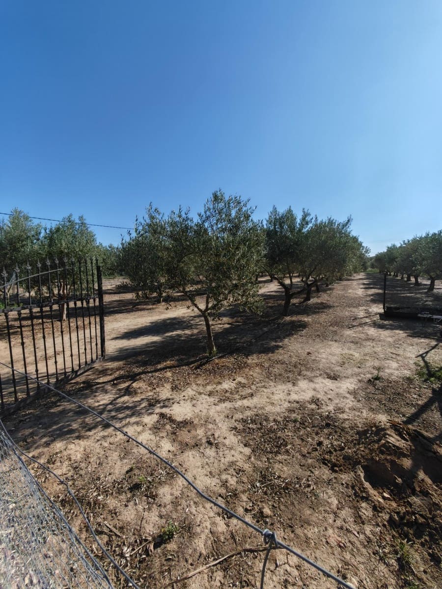 2 bedroom Finca/Country House for sale in Don Benito - € 160,000 (Ref: 9876612)