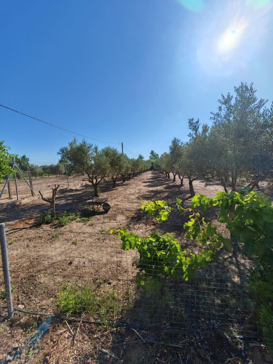 2 bedroom Finca/Country House for sale in Don Benito - € 160,000 (Ref: 9876612)
