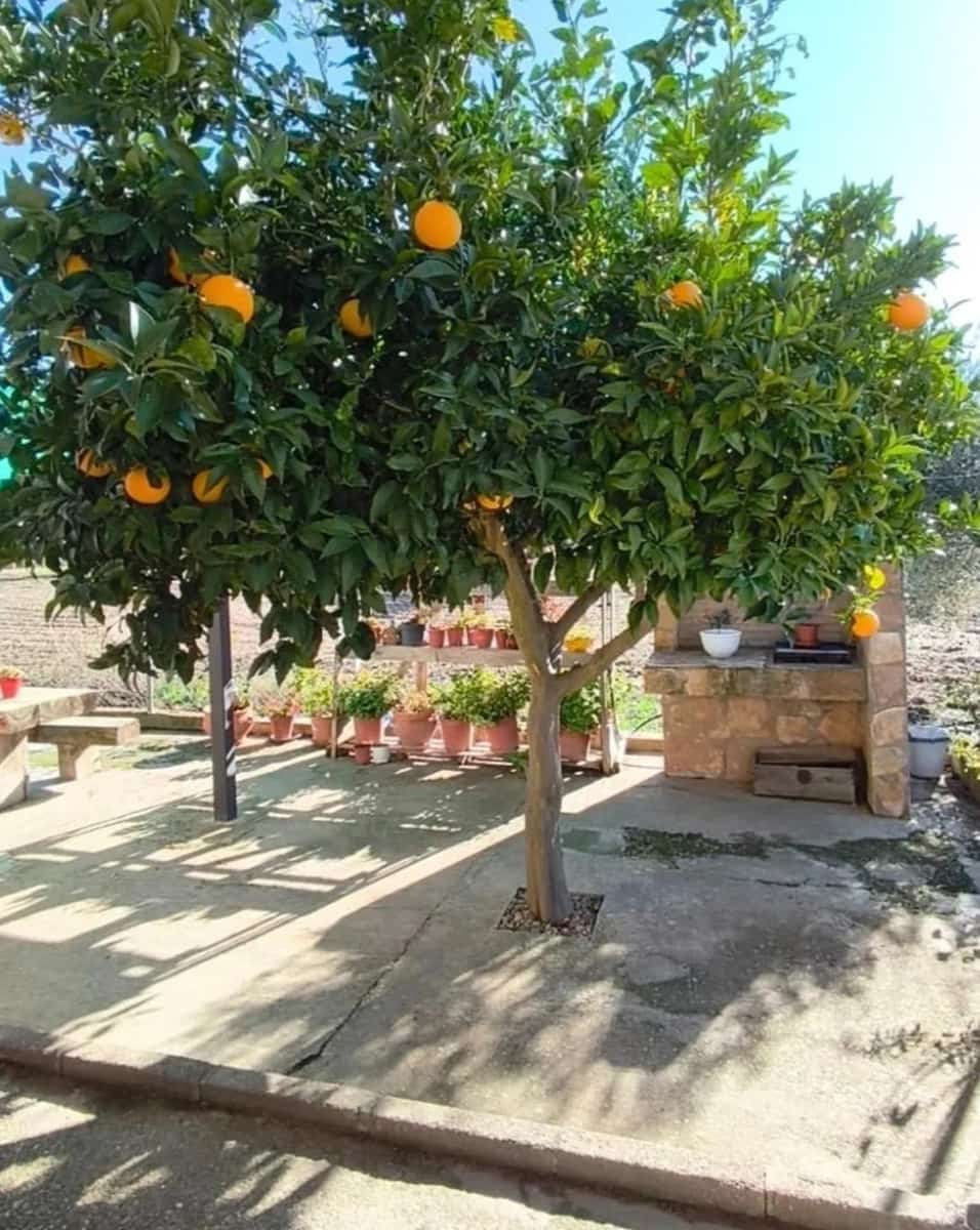 2 bedroom Finca/Country House for sale in Don Benito - € 160,000 (Ref: 9876612)