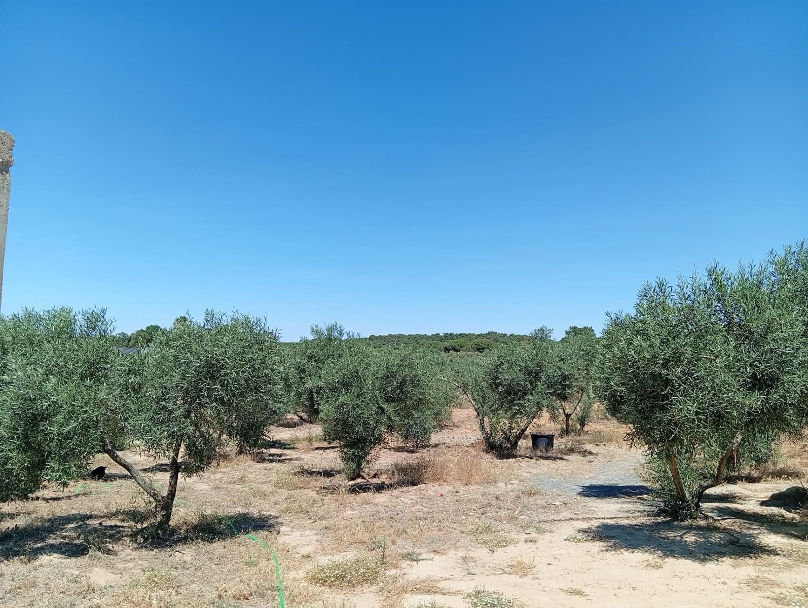 Undeveloped Land for sale in Villablanca - € 200,000 (Ref: 9882079)