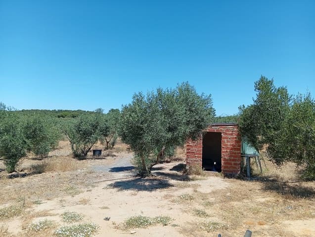 Terre non Aménagée à vendre à Villablanca - 200 000 € (Ref: 9882079)