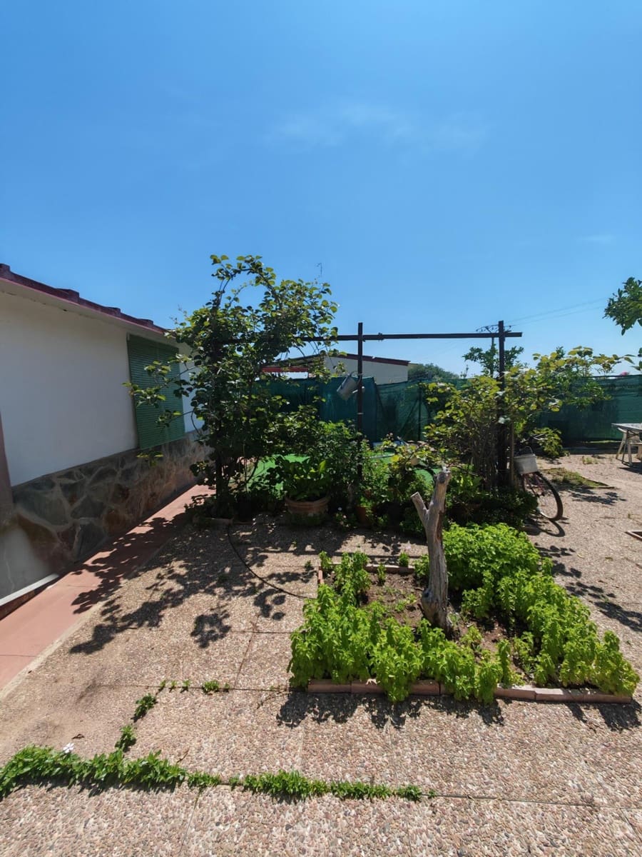 5 bedroom Villa for sale in Don Benito with pool - € 350,000 (Ref: 9896216)