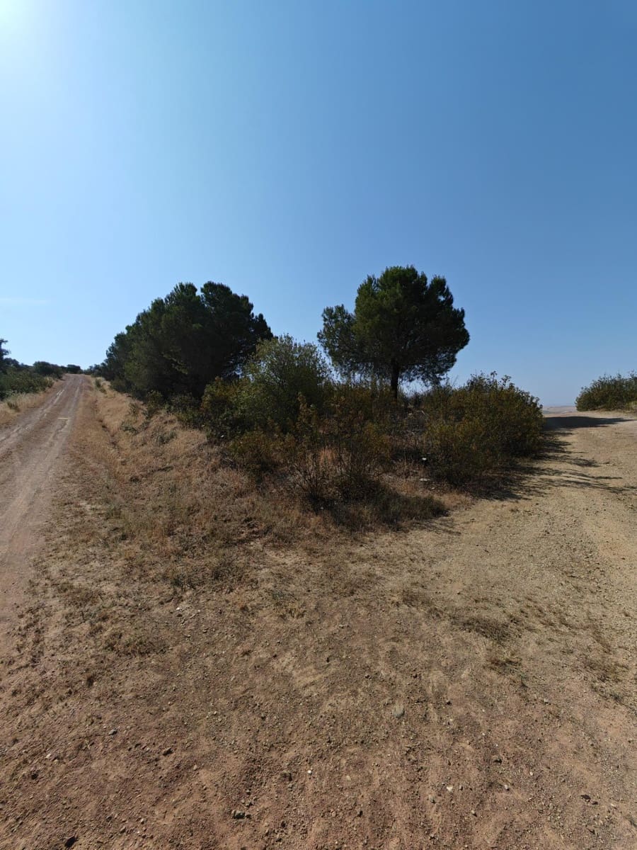 Chalet de 1 habitación en Navalvillar de Pela en venta - 69.000 € (Ref: 9903814)