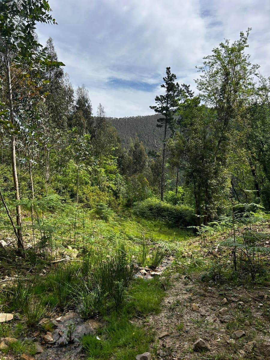 Finca/Landgut zu verkaufen in Bermeo mit Garage - 209.000 € (Ref: 9903817)
