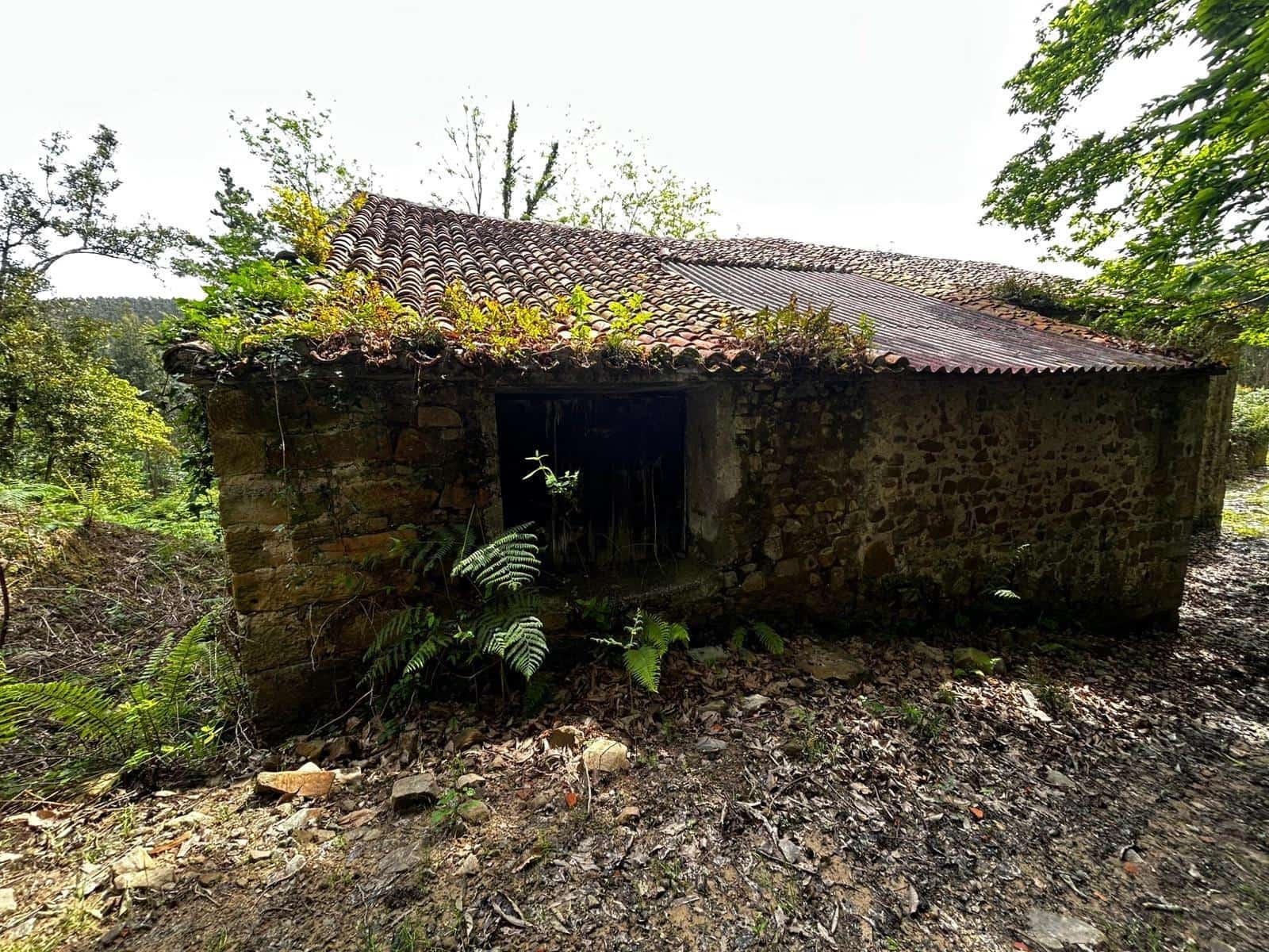 Finca/Landgut zu verkaufen in Bermeo mit Garage - 209.000 € (Ref: 9903817)