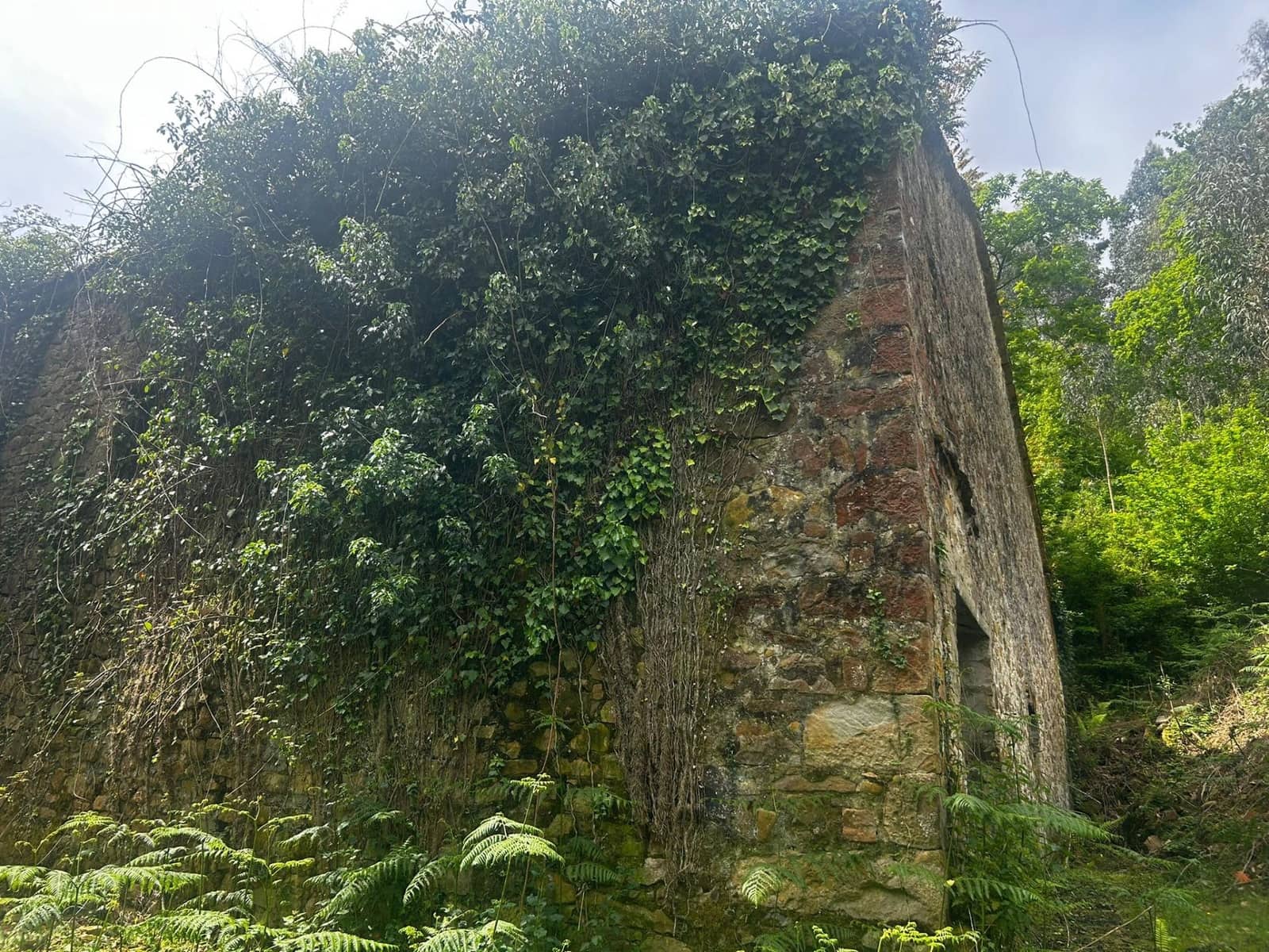 Finca/Landgut zu verkaufen in Bermeo mit Garage - 209.000 € (Ref: 9903817)