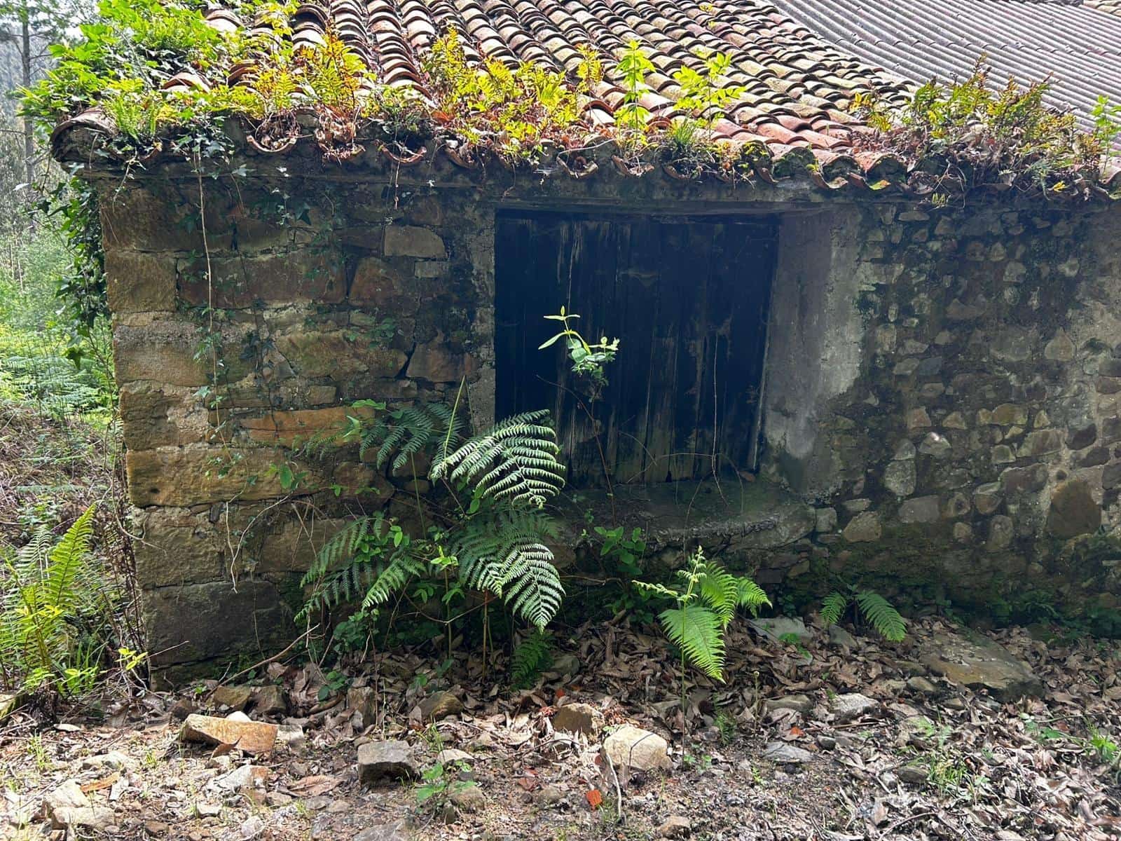 Finca/Landgut zu verkaufen in Bermeo mit Garage - 209.000 € (Ref: 9903817)