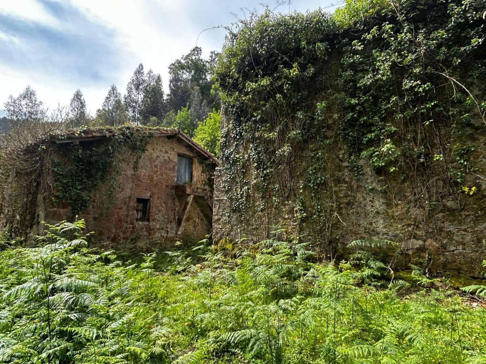Finca/Landgut zu verkaufen in Bermeo mit Garage - 209.000 € (Ref: 9903817)