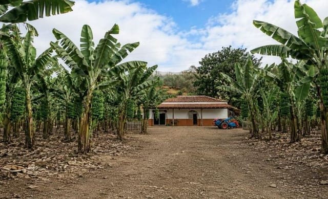Finca/Casa Rural de 2 habitaciones en Gáldar en venta - 1.590.000 € (Ref: 9918309)