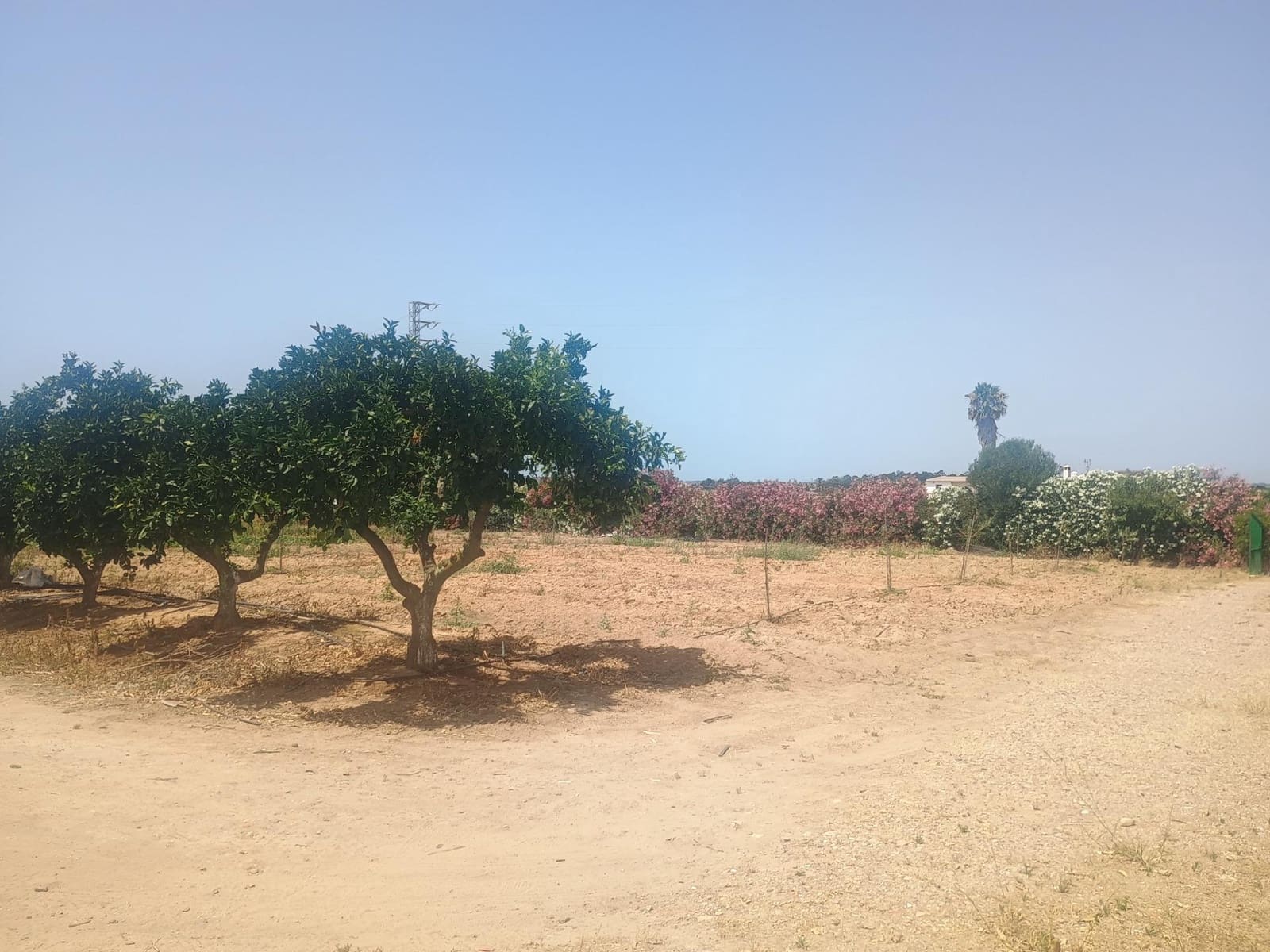8 bedroom Villa for sale in El Rompido with garage - € 412,100 (Ref: 9922525)
