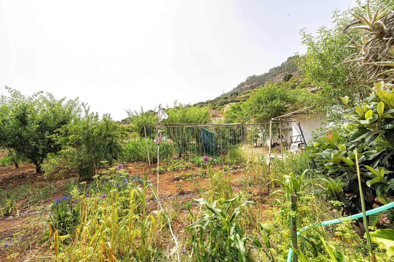 3 bedroom Villa for sale in Valsequillo with garage - € 350,000 (Ref: 9940329)