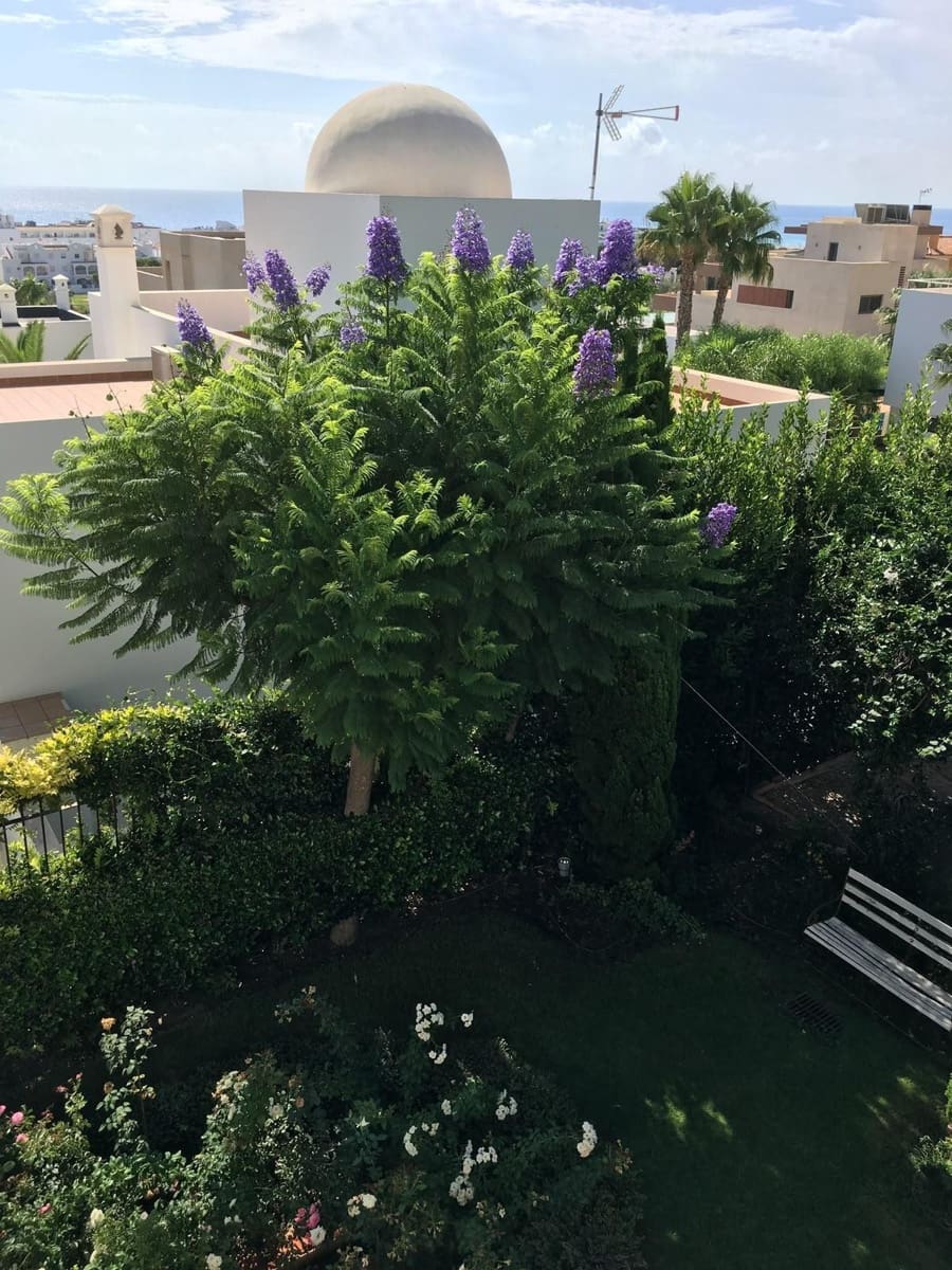 7 soverom Villa til salgs i Mojacar med svømmebasseng - € 2 900 000 (Ref: 9944183)