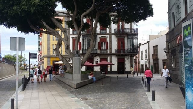1 bedroom Flat for rent in Vegueta, Las Palmas de Gran Canaria - € 980 (Ref: 9945907)