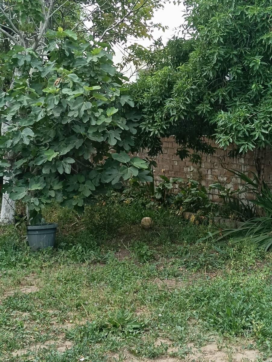 Building Plot for sale in El Puerto de Santa Maria - € 280,000 (Ref: 9955961)