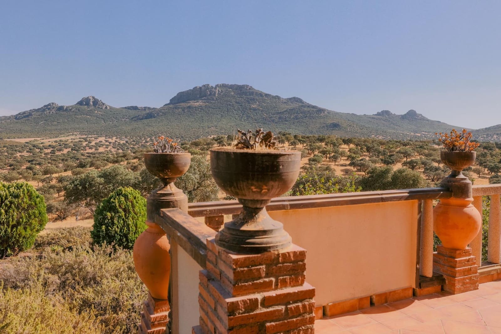 5 bedroom Villa for sale in Hornachos with garage - € 590,000 (Ref: 9977466)
