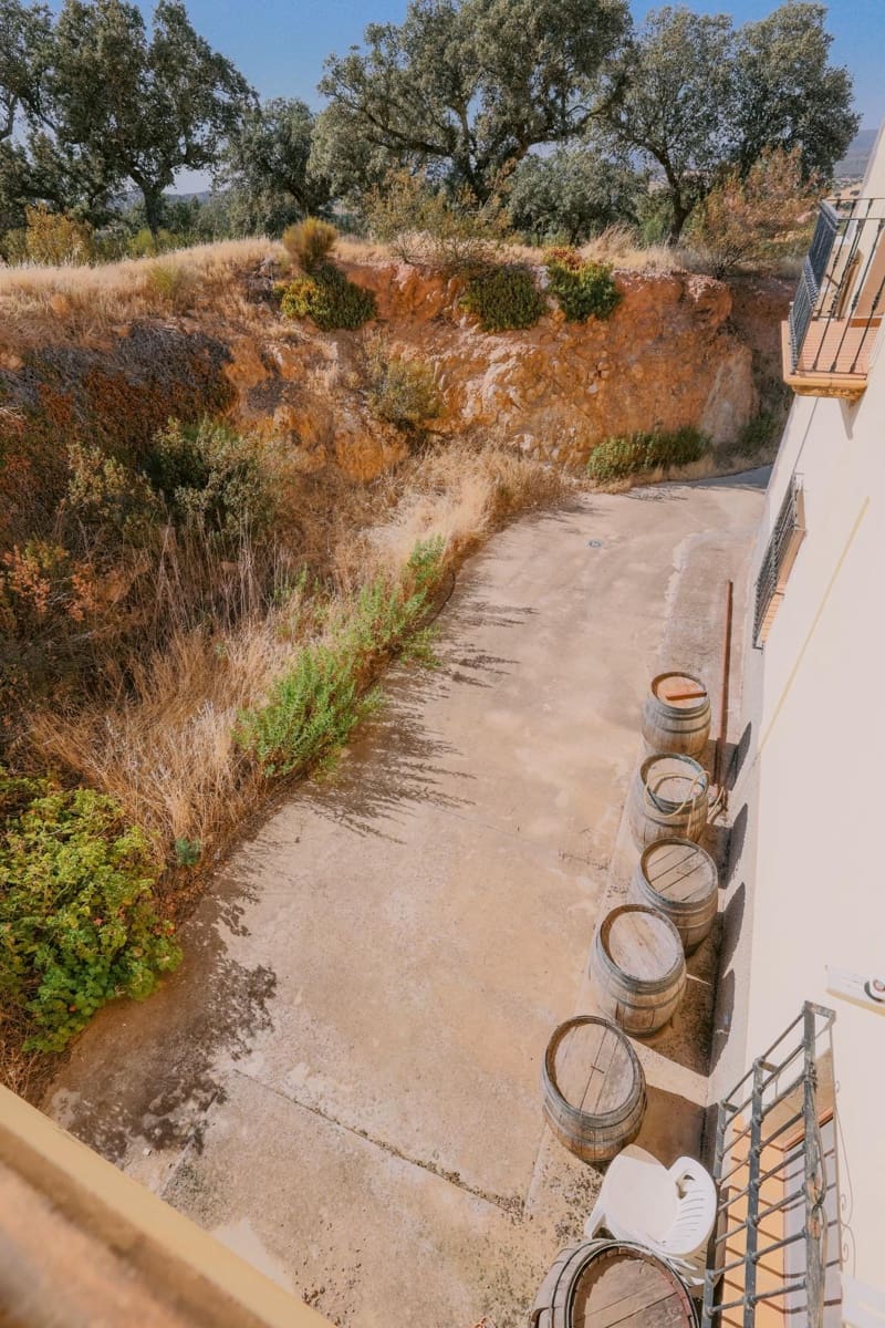 5 bedroom Villa for sale in Hornachos with garage - € 590,000 (Ref: 9977466)