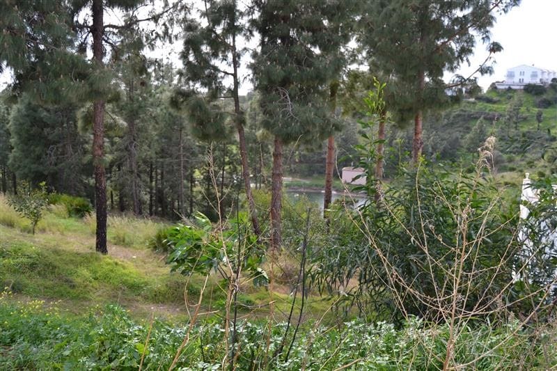 Building Plot for sale in El Chaparral - € 290,000 (Ref: 3814947)