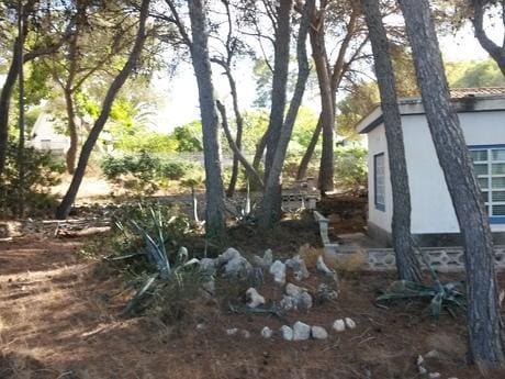 Commercial for sale in Arenal, Javea / Xàbia with pool garage - € 900,000 (Ref: 3288228)