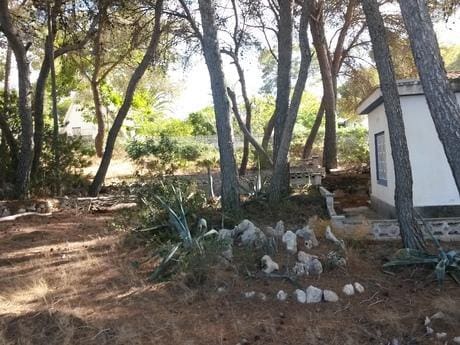 Erhverv til salg i Arenal med swimmingpool garage - € 900.000 (Ref: 3288228)