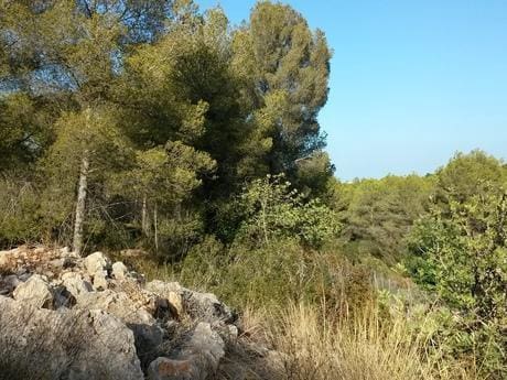 Tontti myytävänä paikassa Javea / Xàbia - 360 000 € (Ref: 3288371)