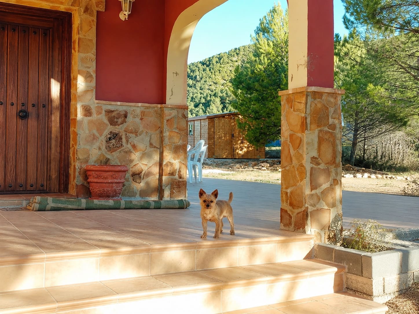4 bedroom Villa for sale in Bullas - € 269,000 (Ref: 10034719)