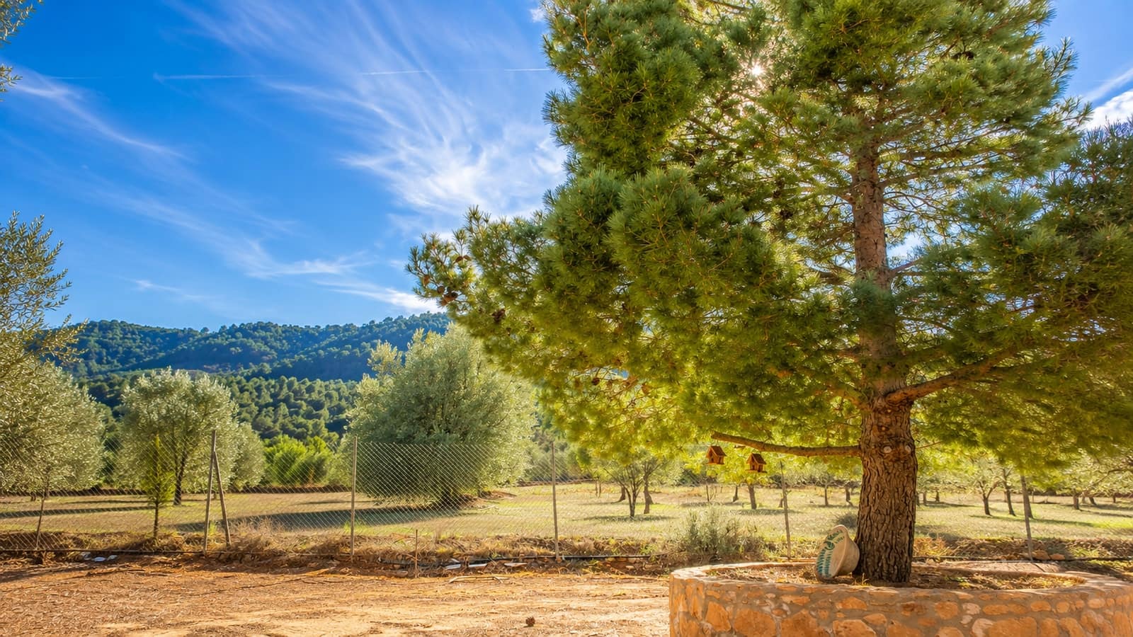4 bedroom Villa for sale in Bullas - € 269,000 (Ref: 10034719)