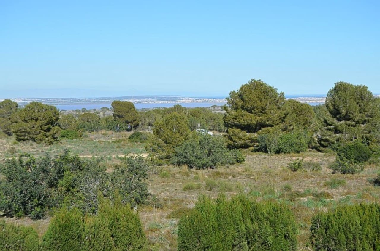 1 quarto Apartamento para venda em San Miguel de Salinas com piscina - 120 000 € (Ref: 9639316)