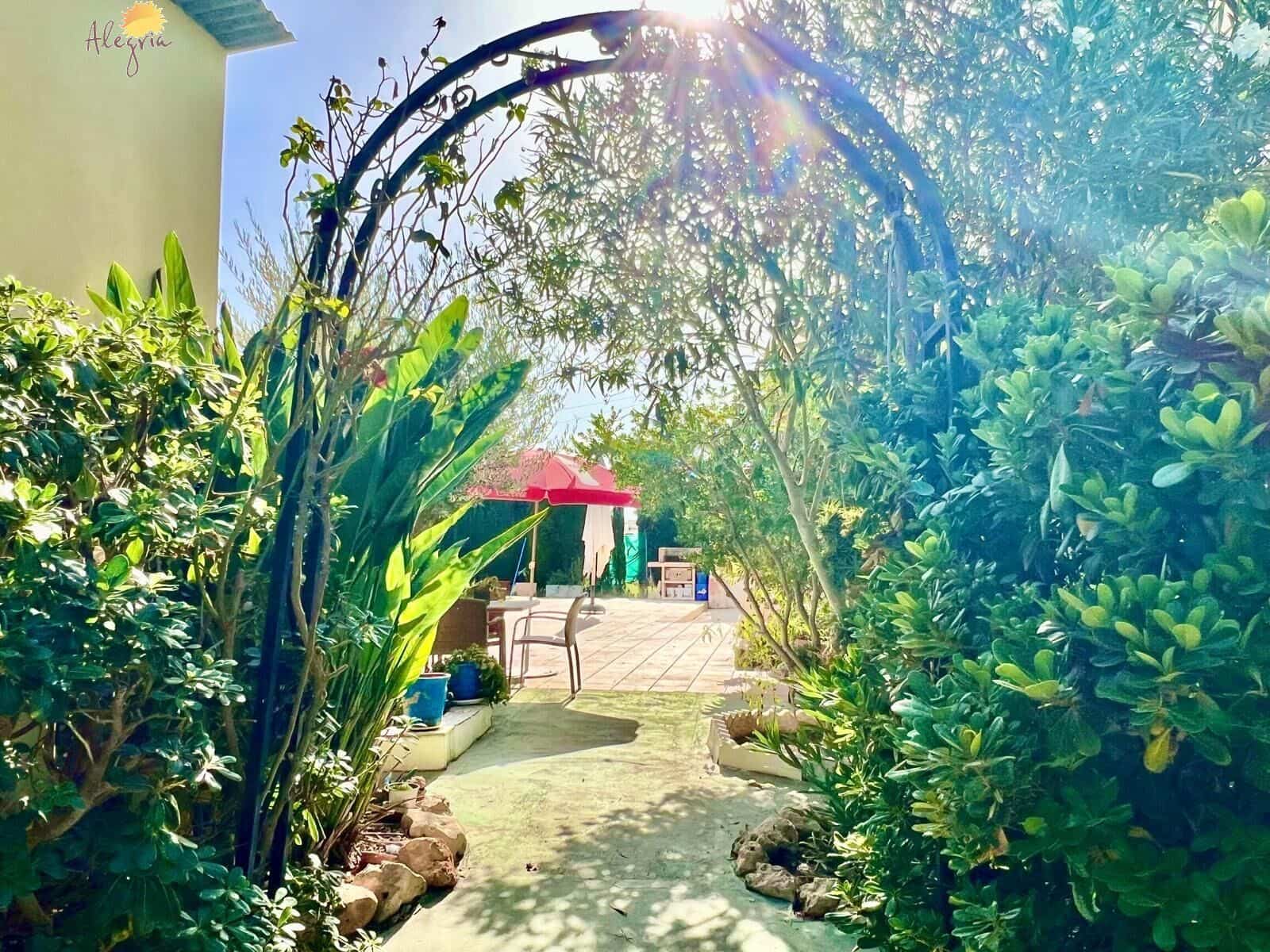 4 bedroom Villa for sale in Daya Vieja with pool garage - € 850,000 (Ref: 10044851)