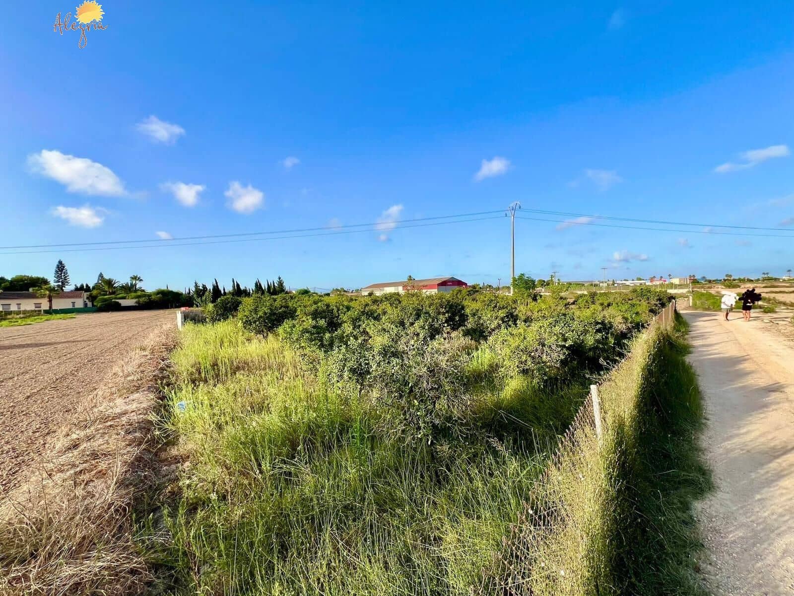 4 bedroom Villa for sale in Daya Vieja with pool garage - € 850,000 (Ref: 10044851)