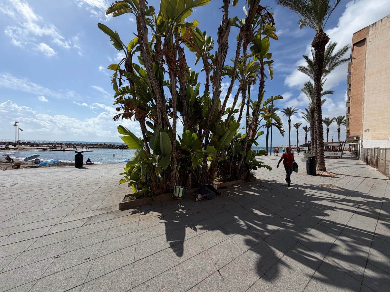 2 soverom Leilighet til salgs i Torrevieja - € 179 900 (Ref: 10064708)