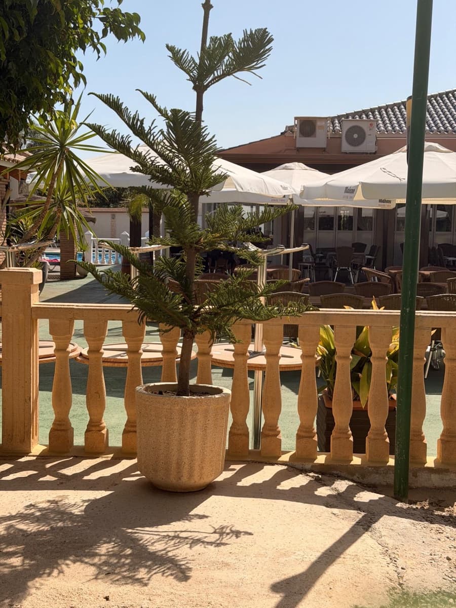 2 quarto Moradia para venda em Torre de la Horadada com piscina garagem - 299 000 € (Ref: 10136099)