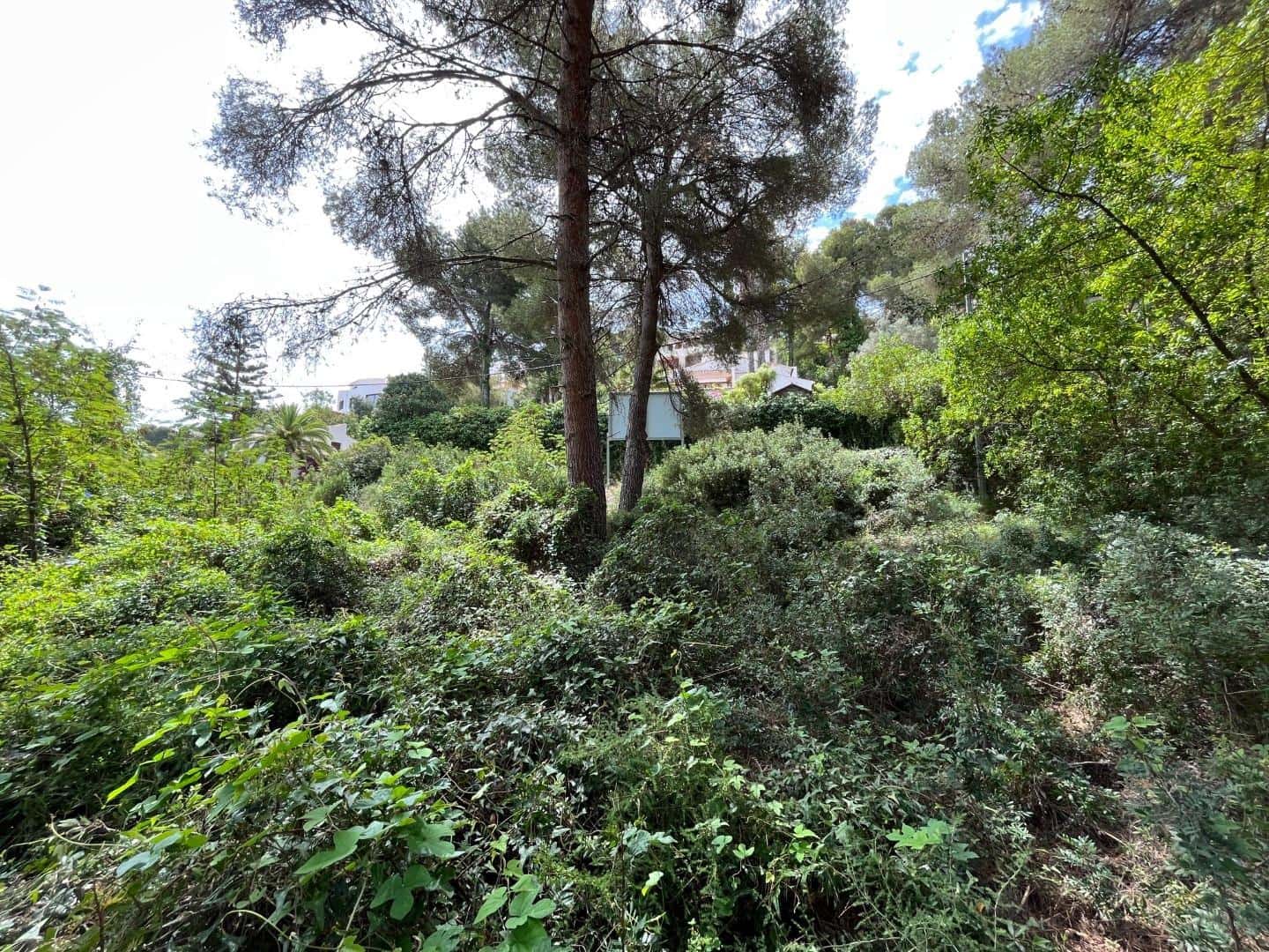 Terreno para Construção para venda em Javea / Xabia - 220 000 € (Ref: 6165763)