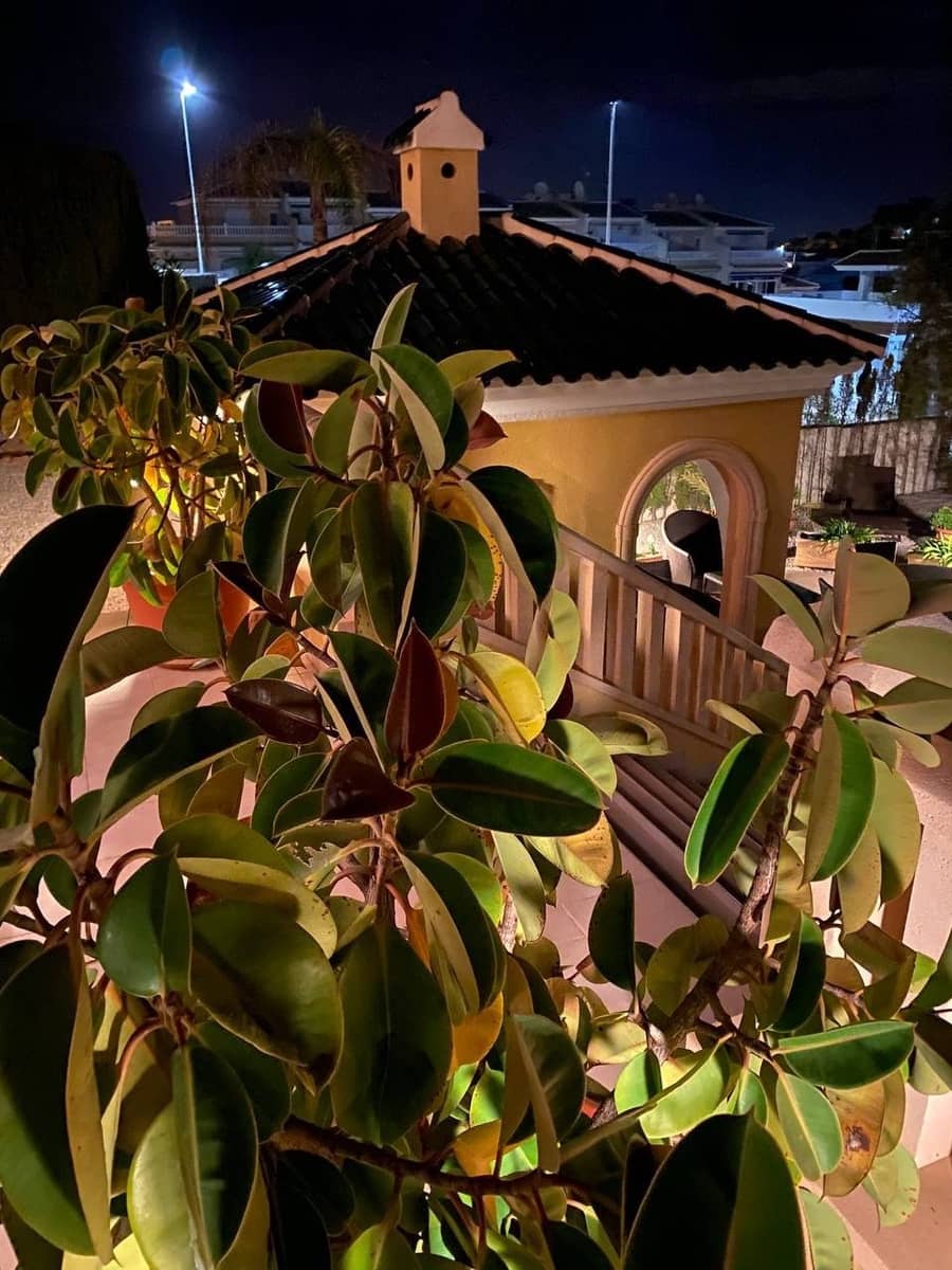 Chalet de 4 habitaciones en Ciudad Quesada en venta con piscina garaje - 950.000 € (Ref: 6165981)