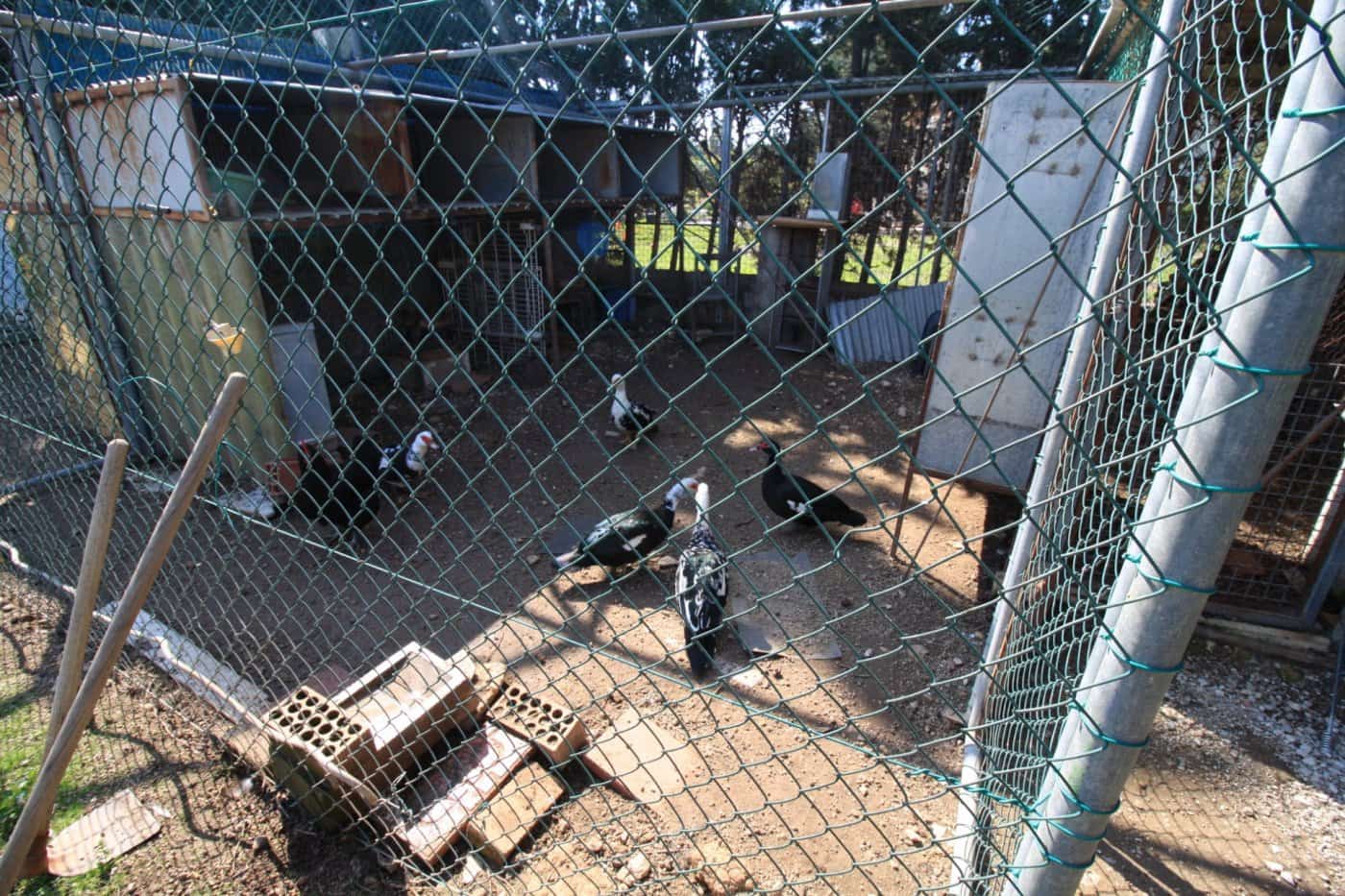 2 bedroom Villa for sale in Campoamor with pool garage - € 475,000 (Ref: 6166062)