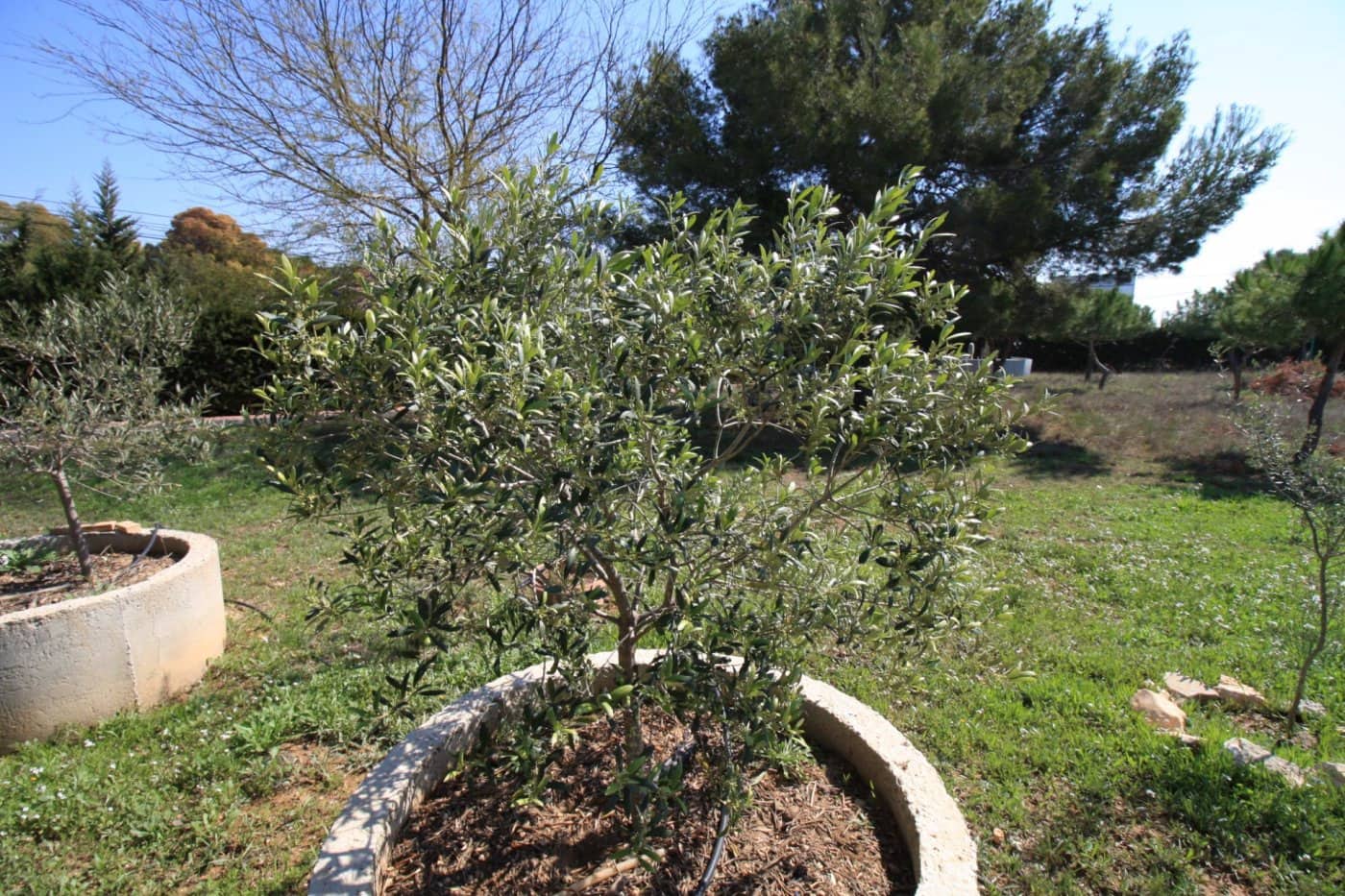 2 bedroom Villa for sale in Campoamor with pool garage - € 475,000 (Ref: 6166062)