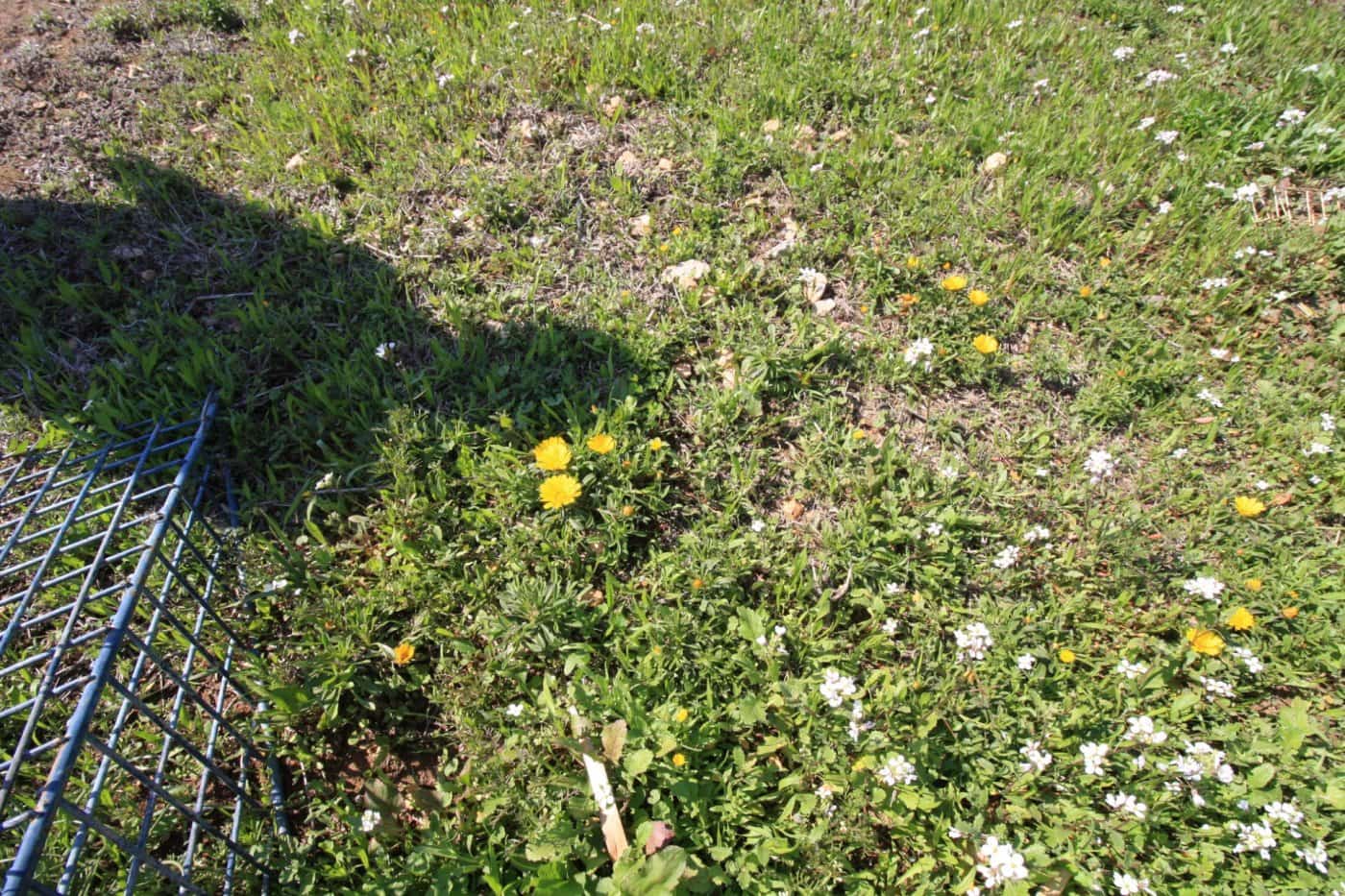 2 bedroom Villa for sale in Campoamor with pool garage - € 475,000 (Ref: 6166062)