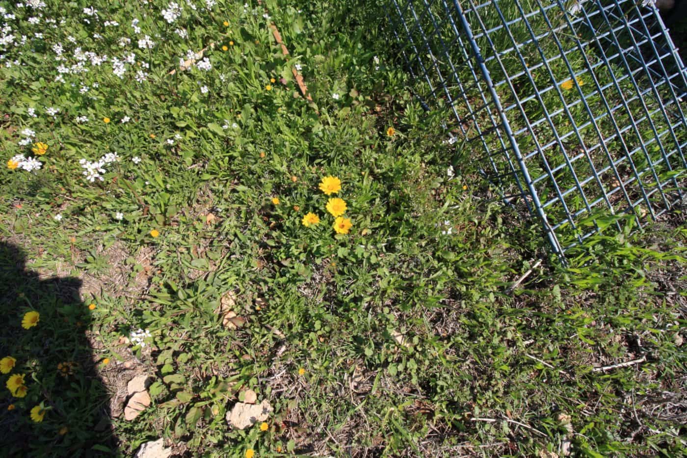 2 bedroom Villa for sale in Campoamor with pool garage - € 475,000 (Ref: 6166062)