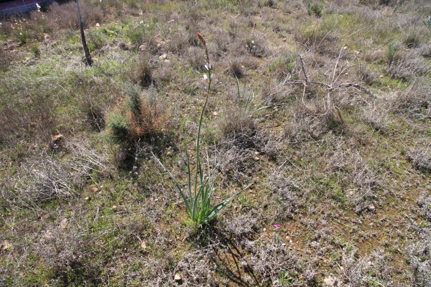 2 bedroom Villa for sale in Campoamor with pool garage - € 475,000 (Ref: 6166062)