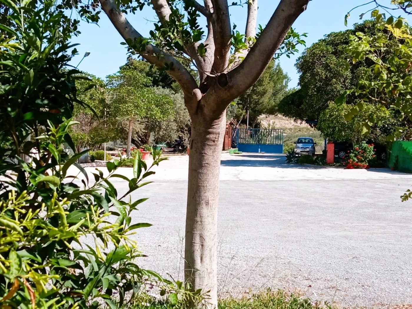 5 bedroom Villa for sale in Muchamiel / Mutxamel with garage - € 800,000 (Ref: 6879641)